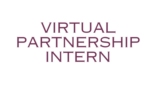 Virtual Partnership Intern