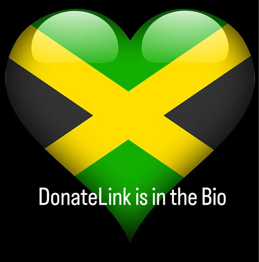 Hurricane Melissa Donation Link